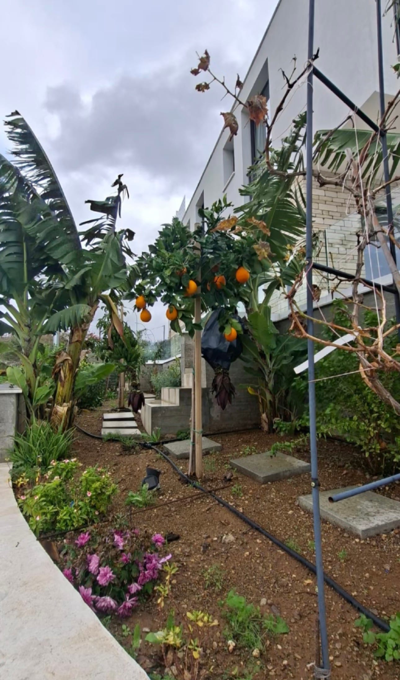 For Rent: Luxury 3-Bedroom Home 